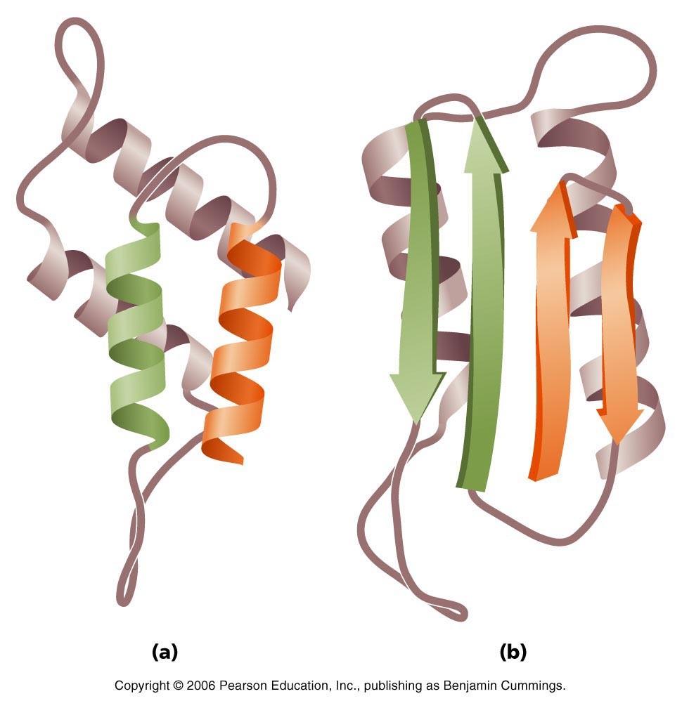 Prion