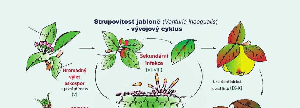 dědičná schopnost organismu (hostitelské