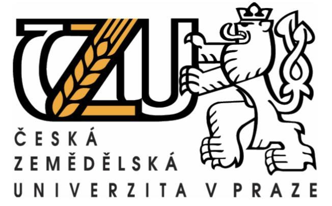 Česká zemědělská univerzita v Praze Provozně ekonomická fakulta Katedra informačních