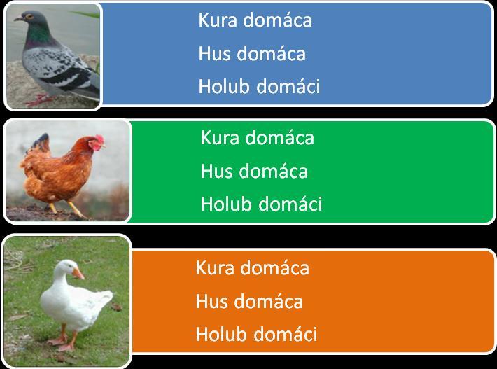 1. Pomenuj časti tela domácich vtákov. 2. Priraď správny názov k jednotlivým domácim vtákom. 3. Doplň odpovede.