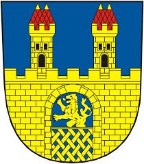 Zpráva o činnosti lokálního síťaře: Mgr. Ondřej Marek E-mail: ondrej.marek@mpsv.