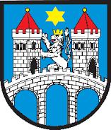 Zpráva o činnosti lokální síťařky: Mgr. Jana Hrdinová E-mail: jana.hrdinova@mpsv.