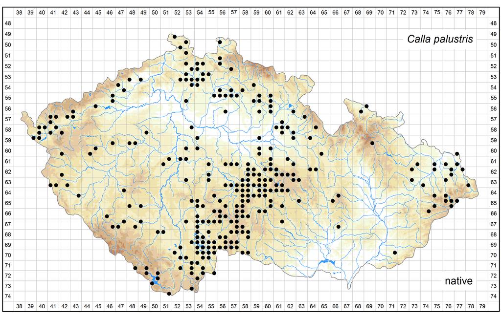 Distribution of Calla palustris in the Czech Republic Author of the map: Zdeněk Kaplan Map produced on: 07-11-2016 Database records used for producing the distribution map of Calla palustris