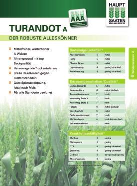 Turandot Rok registrace: 2012 Vyšlechtěno: ŠS Úhřetice Řešení pro pozdní setí doporučená odrůda 2017 vysoký výnos velmi dobrý zdravotní stav, odolná fuzáriím využití i pro pozdní výsev po kukuřici