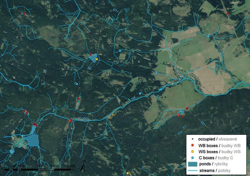 Fig. 2. The central part of the study area in the Slavkovský Les Protected Landscape Area forests near Kladská and Prameny. The boxes were placed near water bodies (highlighted) and at forest edges.