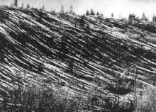 Masová vymírání Dopady asteroidů kvartér