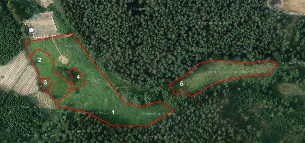 2009). Skladba mravenčích společenstev (myrmekocenóz) travnatých biotopů odráží důležité stanovištní charakteristiky dané lokality, např. narušení prostředí, sukcesní změny, stav pastvin ap.