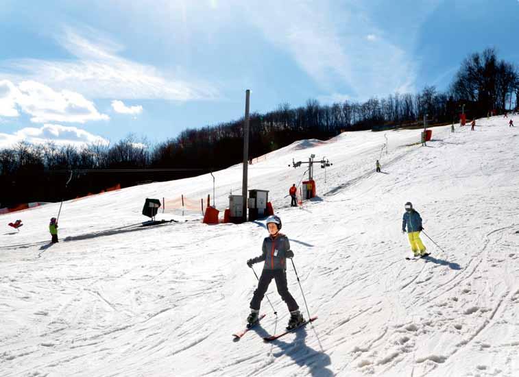 kde jsme pomohli křížem krážem Dopravujeme sportovce na závody AGROTEC pomáhá mladému kulturistovi Lyžovat se dá i téměř na rovině Ski areál Němčičky Lokalita: Hustopeče Nejvyšší bod sjezdovky: 240 m
