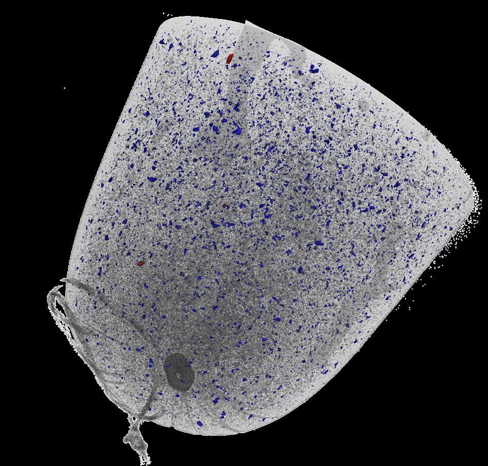 rozlišení: 40 µm 3D