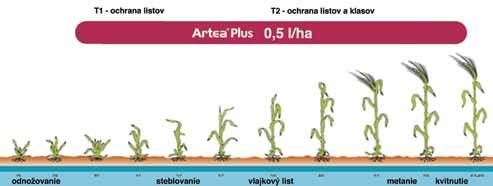 proti fuzariózam klasov Účinná látka Formulácia Balenie cyproconazole 160 g/l, propiconazole