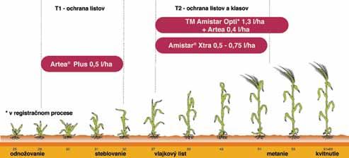 Plus - 160 g/l cyproconazole, 250 g/l propiconazole 20 l 0,4 l Amistar Opti Pack Technické riešenie aplikácia: Tank-mix používajte