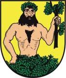 ZPRAVODAJ MĚSTA ALBRECHTIC 4/16 Vážení spoluobčané, Léto a prázdniny nám pomalu končí a nezbývá nám, než se pomalu připravit na podzim a zimu.