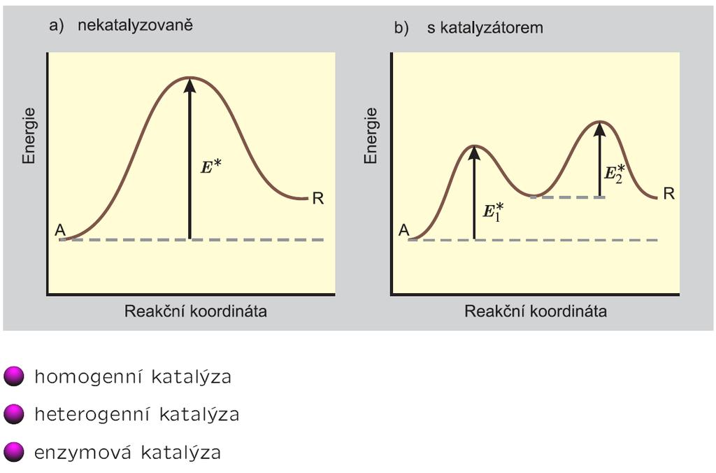 Katalýza