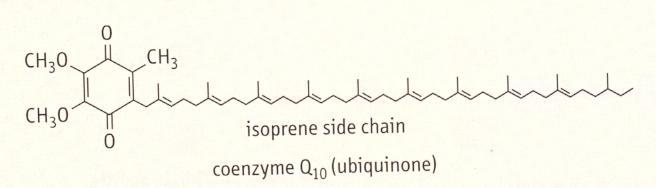 Dýchací řetězec koenzym Q10 (ubichinon) H 3 CO O red. H 3 CO OH H 3 CO O R ox.