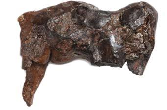 33 Figurka mamuta keramika, Pavlov (jižní Morava), uloženo ArÚ AVČR Brno (délka 6 cm, výška 5 cm). Výzkum B. Klíma.