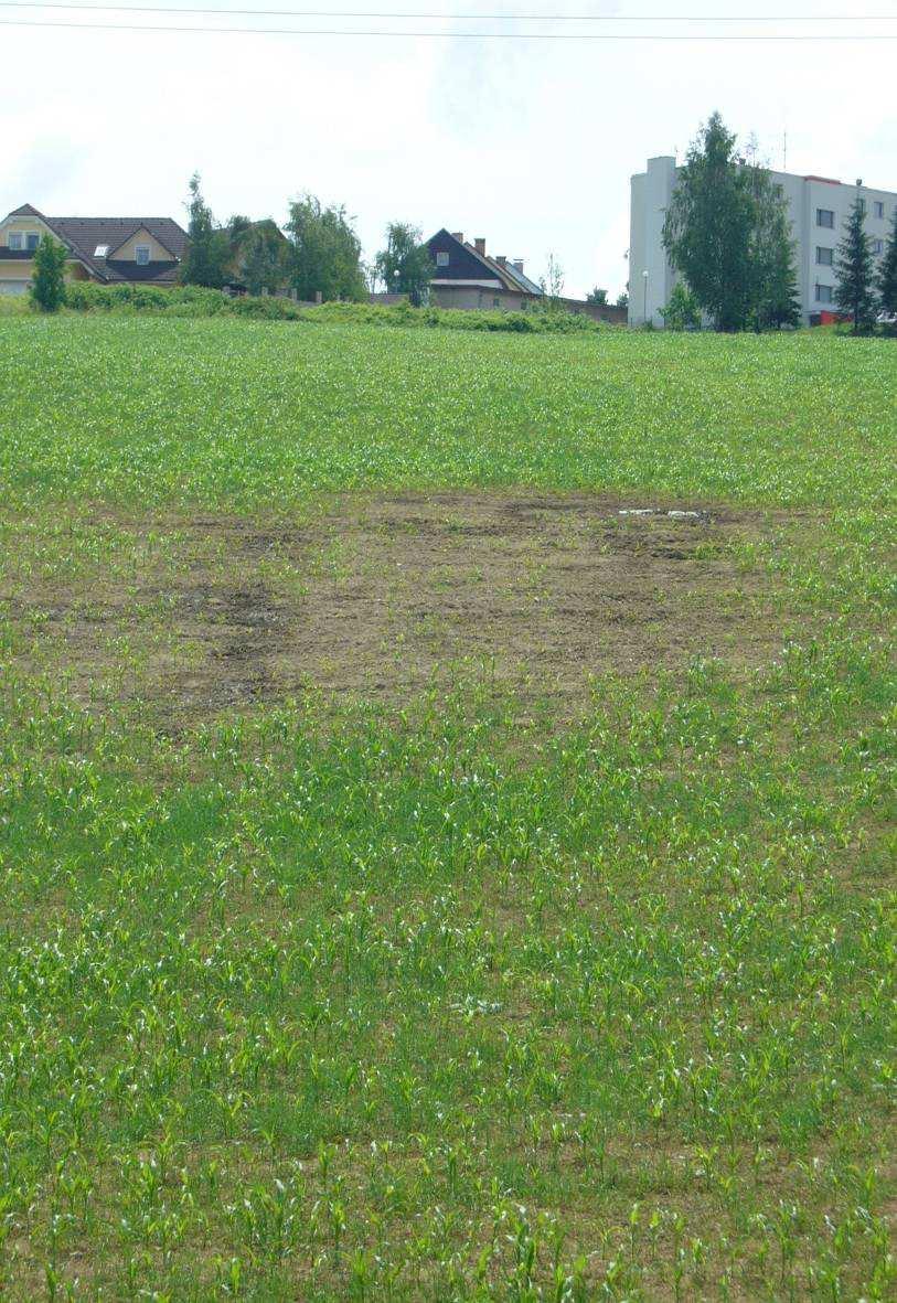 rovnocenne nahrádzané novo vznikajúcou pôdnou