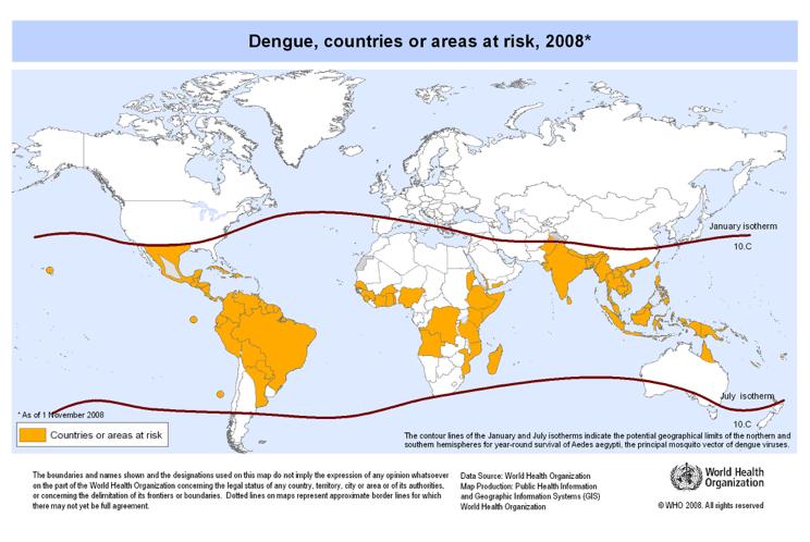 Horečka Dengue http://www.who.