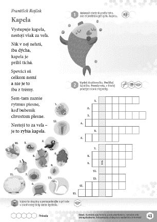 Príroda Kapela (František Rojček) Čítanka k Šlabikáru LIPKA, strana 41 Návrh prípravy na vyučovaciu hodinu 181 (http://www.aitec.sk/assetsd/files/navrhy-priprav-citanka-lipka-str-1-64_692_sk.