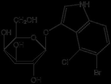 (dimery primerů, nespecifické produkty).