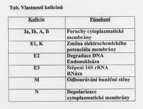 Charakteristika Ti-plazmid Hostitel: Agrobacterium tumefaciens Agrobacterium rubi Agrobacterium rhizogenes (Ri-plazmidy) Ti zp sobuje kr kové nádory