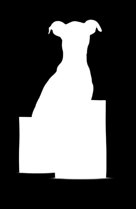 NE SADRŽE ŽITARICE, SO, NITI SOJU, A PROIZVEDENE SU OD 100% MESA