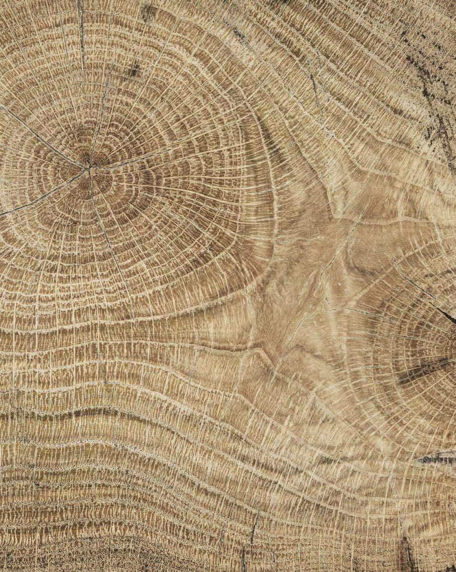 Ekologi Ecology ISO 14001 ISO 9001 Vi gör det högsta i området att skydda miljön. Vi försöker se till att tillverkningen av våra möbler är mycket hänsynsfull för miljön.