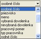 2 OVLÁDANIE PROGRAMU 33 2 OZNAČOVACIE POLÍČKO, PREPÍNAČ Označovacie políčko slúži na zapnutie alebo vypnutie určitej voľby.