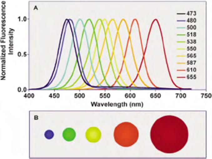 Quantum dots Various semiconductor nanocrystals: CdTe, CdSe, CdSe/ZnSe, PbS, or CdS Carbon quantum dots (CQDs) Low toxicity Chemical stability Biocompatibility CQDs are