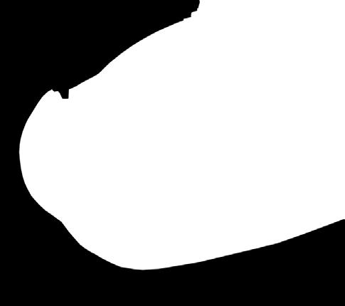 A8 4 A15