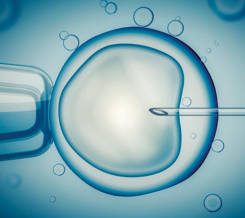 OBSAH Úvodní slovo vedoucího lékaře...1 I. Úvod...2 II. Výsledky prenatální diagnostiky...2 III. Výsledky centra asistované reprodukce...3 IV. Preimplantační diagnostika (PGD)...4 V.