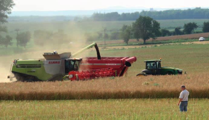 Reportáž AgroVation Kněžmost Žně vždy nakonec prověří vloženou práci a znalosti či. Takto je pšenice dovedena až ke sklizni, kdy je ještě před ní použit znovu glyphosat.