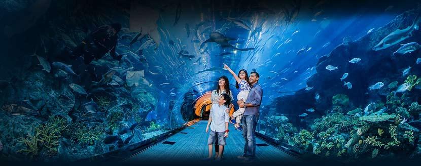 Akvárium a Podmořské Zoo v Dubai Mall Akvárium a Podmořské Zoo v Dubai Mall Denně cca 30 minut Pojďte se podívat do největšího obchodního centra Dubai Mall na podmořský svět.