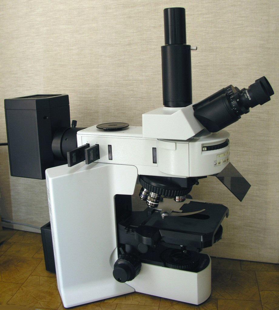Olympus BX-51 Tokio, Japonsko Badatelský mikroskop s vestavěným osvětlením Epifluorescence ve 3 oblastech spektra Nomarského diferenciální