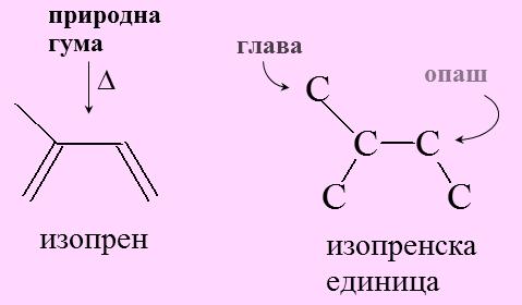 Wallach (1887) : хипотеза дека терпеноидите настануваат со поврзување структурни едници од по 5 С атоми. Leopold Ruzicka (1953) : го поставил биогенетското изопренско правило.