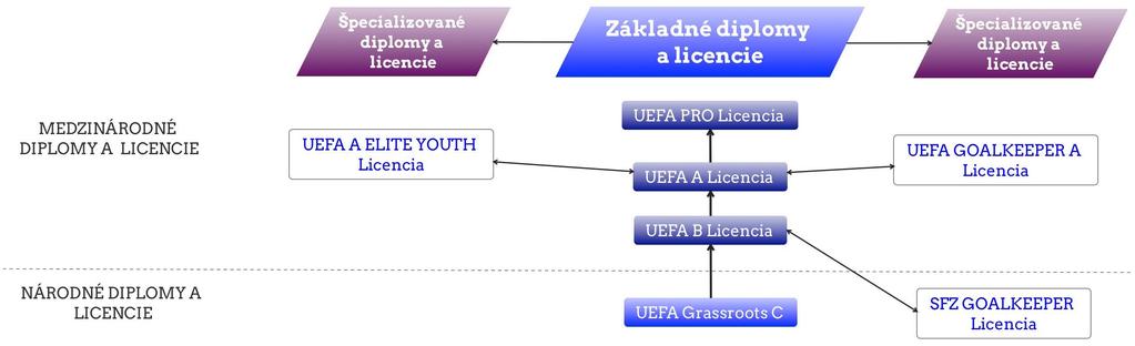 predmetu, problematiky pre skupinu študentov vybraného školenia, SLOVENSKÝ FUTBALOVÝ ZVÄZ l) všeobecná časť školenia trénerov interdisciplinárne poznatky biologicko-lekárskych vied, psychológie