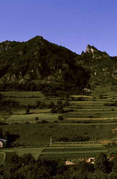 PIENINY