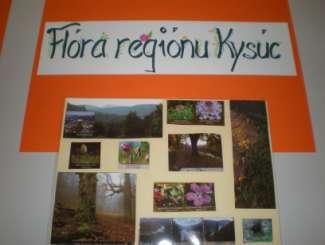 1.5 Aktivity - JÚN 2013 Ţiačky, ktoré boli prítomné na júnových stretnutiach sa venovali spracovaniu materiálov k téme: Čo nám kysucký región ponúka?