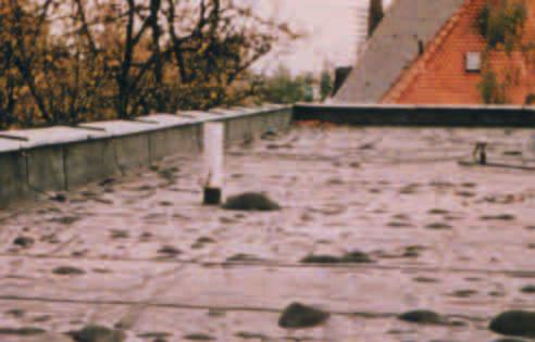 V polední dobû e pfiechází u anací ploch ch tfiech k vytvofiení nové kladby na pûvodní tfie ní krytinû.