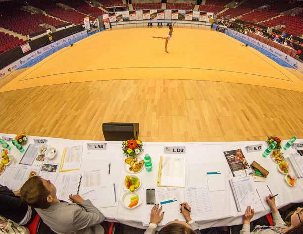 Cup. JUDGES As organizers, we understand that also a personality of the chief judge creates the reputation of the