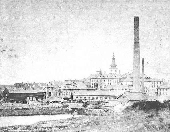 VÝROBA CUKRU V ČR A VE SVĚTĚ Počátky průmyslové výroby cukru u nás - rok 1831 Výroba