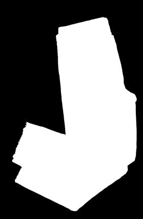 3250 Kč