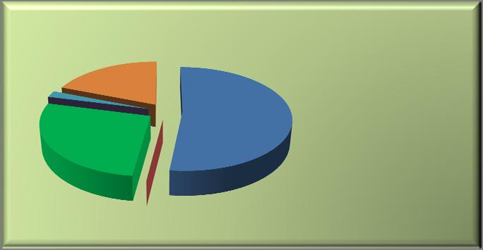 Graf 1 Prodej podle výrobků v závodě DURA BLATNÁ (leden-červenec 2008) Prodej podle výrobků 2% 0% 27% 19% 52% rámy dveřní moduly nosníky přístrojové desky 0% lišty Zdroj: vlastní zpracování dle údajů