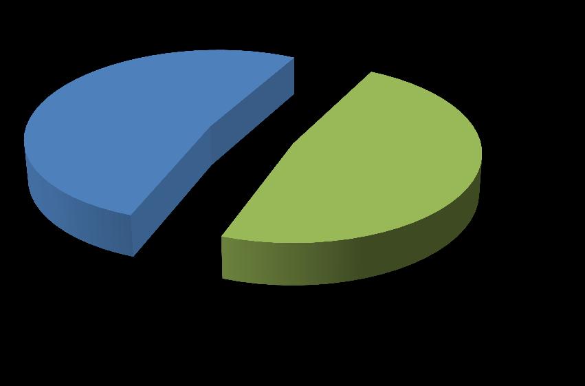 Stálí zákazníci jsou budoucnost Nákup v minulosti Ano 43% každý 4.