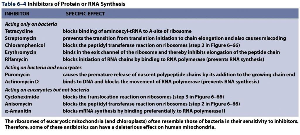 Table 6-4 Molecular Biology of