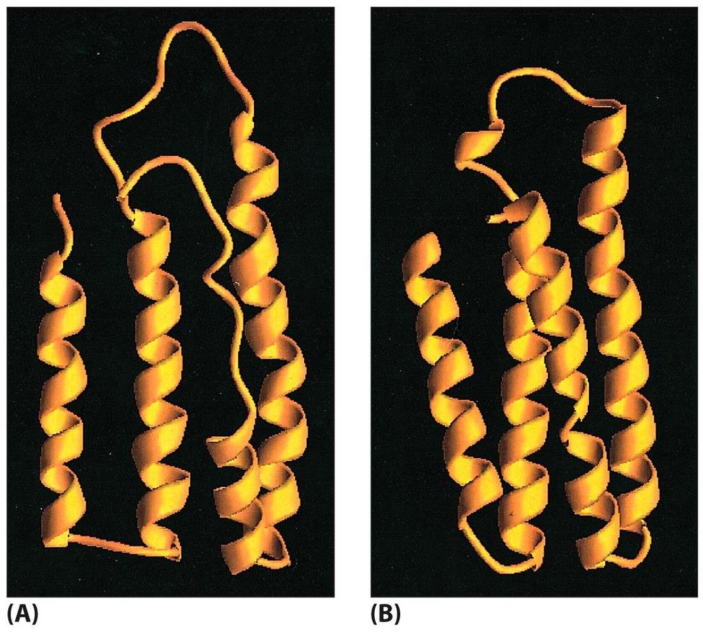 Figure 6-83 Molecular Biology of