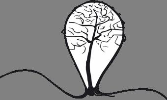 Ročníkový symbol - strom vecná rovina: (čo symbol hovorí sám o sebe) - môžeme pozorovať, či je veľký alebo malý, či rastie v lese alebo o v záhrade, či nám dáva ovocie alebo je listnatý.