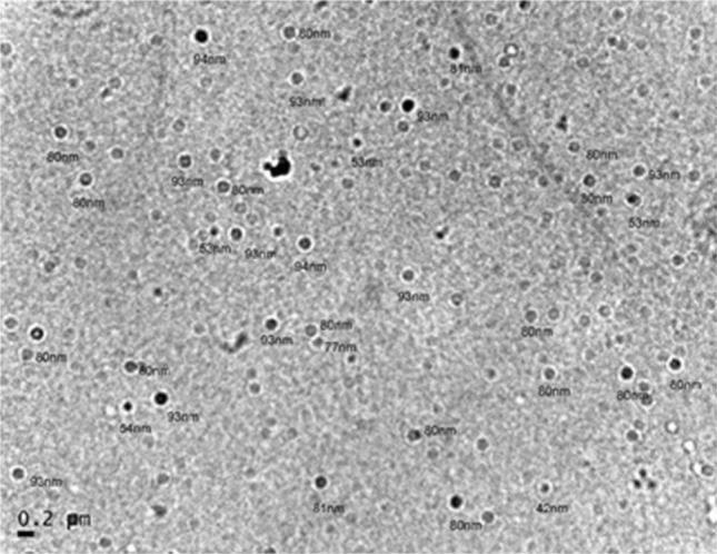 [6] Vzorky byly po změně barvy podrobeny UV spektrofotometrii. Co se týče kmenu CS 11, který byl po celou dobu zkoumán a do kterého patří i Bacillus sp.