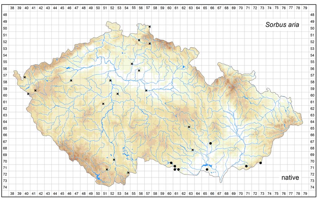 Distribution of Sorbus aria in the Czech Republic Author of the map: Martin Lepší, Petr Lepší Map produced on: 11-11-2016 Database records used for producing the distribution map of Sorbus aria