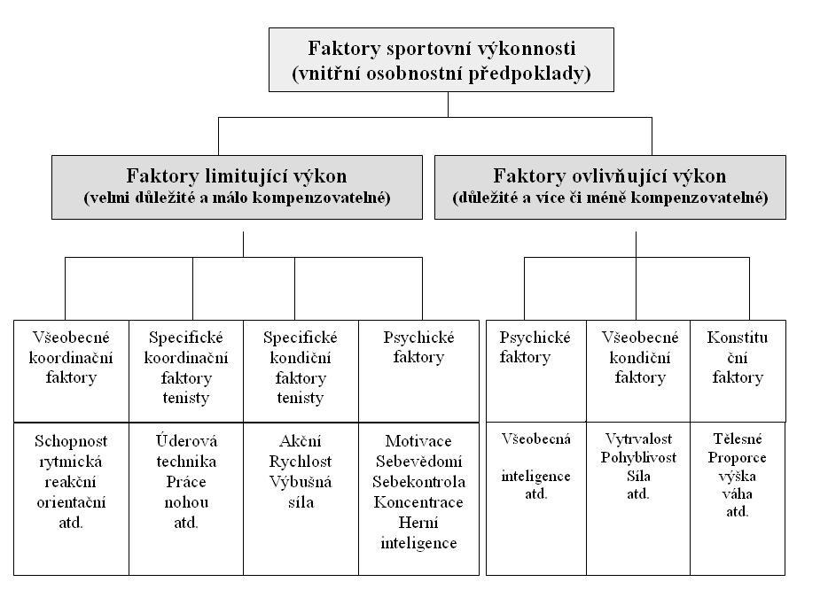 2010; Roetert & Ellenbecker, 1998; Schnabel et al., 2008; Zháněl et al., 2005b).