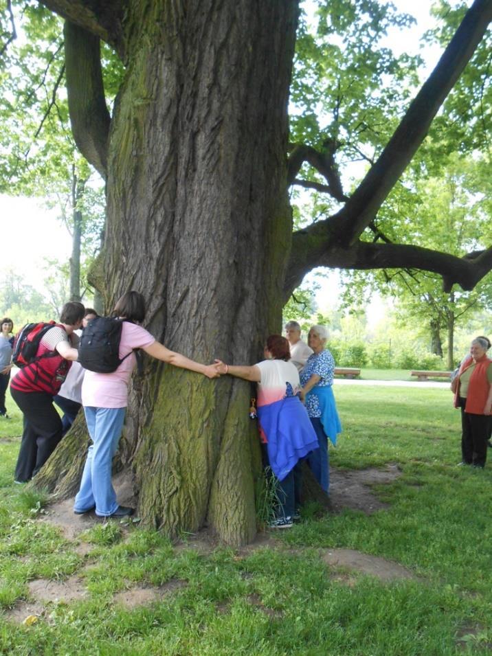 pravidelnú niekoľko